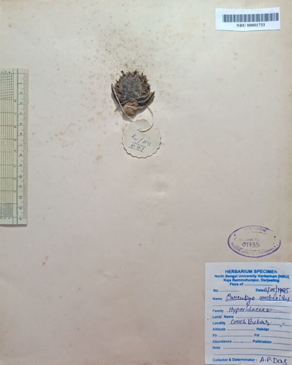 DocScanner 2 Jul 2026 1-42 pm
